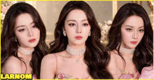 รูปปก ตี๋ลี่เร่อปา (Dilraba Dilmurat) - Larnom